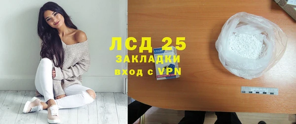 стаф Кулебаки