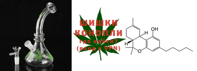 стаф Кулебаки