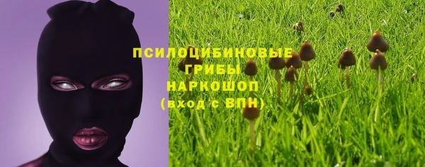 стаф Кулебаки