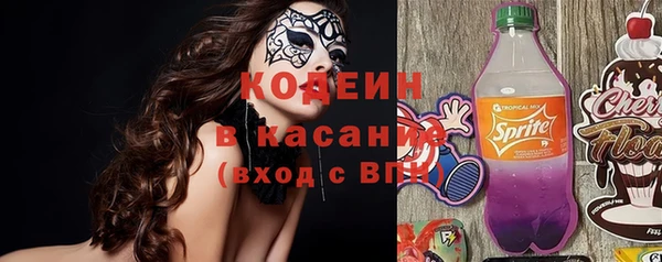 стаф Кулебаки