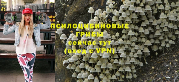 прущий лед Кукмор